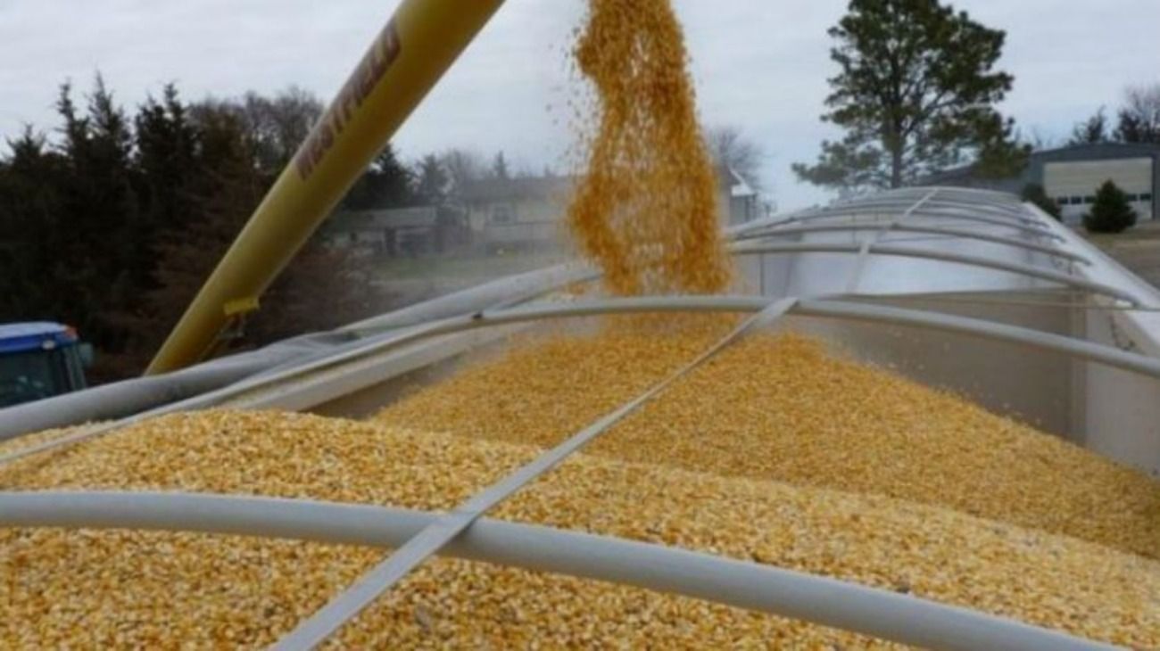 Ante el cierre parcial del Gobierno de Estados Unidos, el péndulo comenzó a inclinarse hacia los indicadores técnicos en los mercados agrícolas.