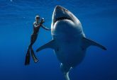 Deep Blue 01182019