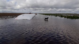 SANTA FE. Declararon emergencia hídrica y zona de desastre agropecuario en el norte provincial.