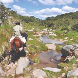 Entre Olta, Tama y Chamical, la Quebrada de los Cóndores propone paisajes fértiles, historia, cabalgatas y el encuentro con las grandes aves.