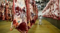 El aumento en la carne, como factor de la inflación.