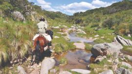 Entre Olta, Tama y Chamical, la Quebrada de los Cóndores propone paisajes fértiles, historia, cabalgatas y el encuentro con las grandes aves.