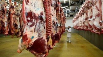 En los próximos días arribará el primer container de 25 toneladas de carne bovina sin hueso al destino africano.