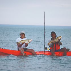 Las orillas de Reta ofrecieron nutridas especies. La experiencia se completó a bordo de kayaks a metros de la costa.