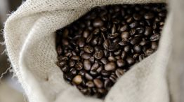 Climate Change Threatens to Make Your Morning Brew More Expensive