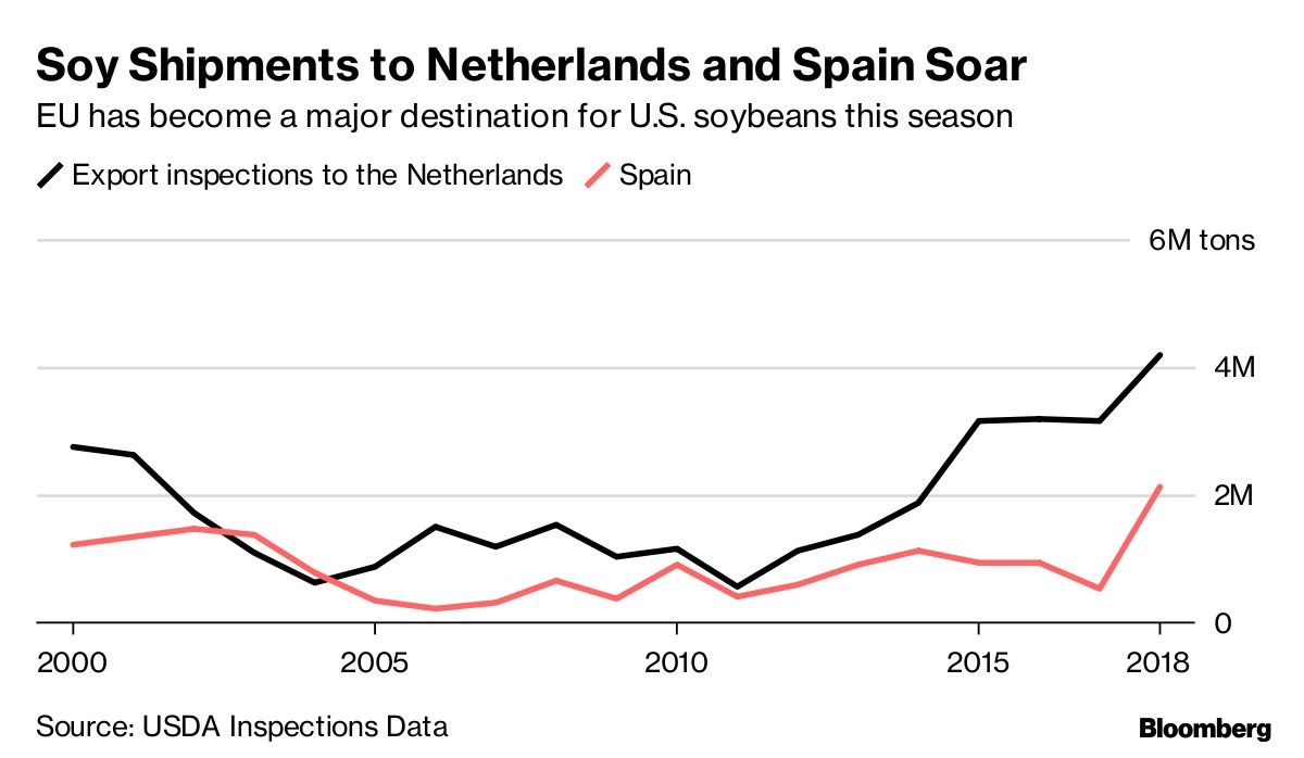 Soy Shipments to Netherlands and Spain Soar