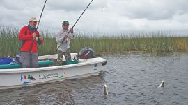 El mar convoca al veraneo en familia, pero el tiempo libre también permite disfrutar de espejos de agua cercanos a los balnearios. Relevamiento de los mejores.