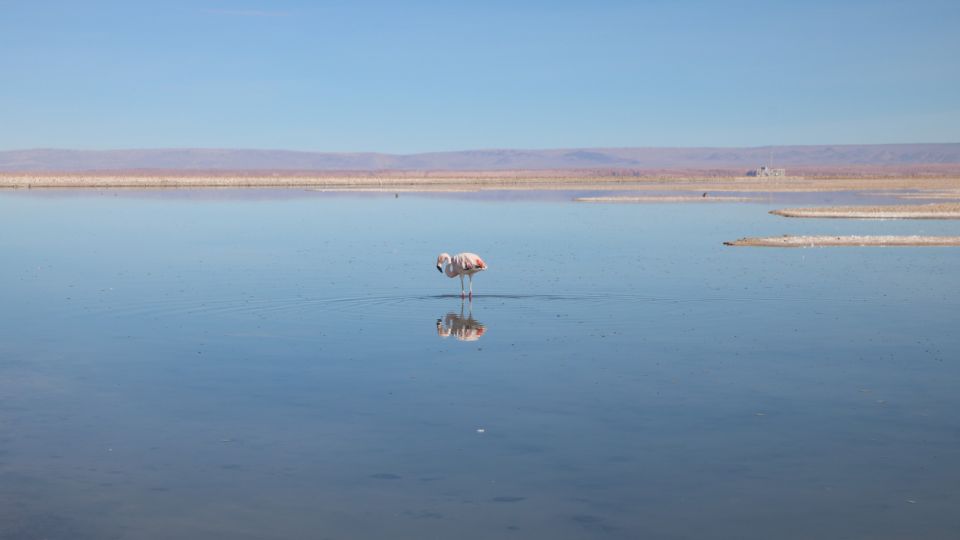 Life-Blood of Tesla Batteries Hits Supply Limits in Andean Mine