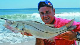 Las 12 especies que están picantes este verano.