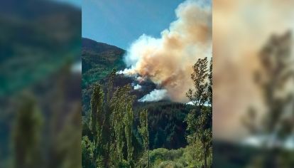 Combaten un incendio forestal cerca de Lago Puelo