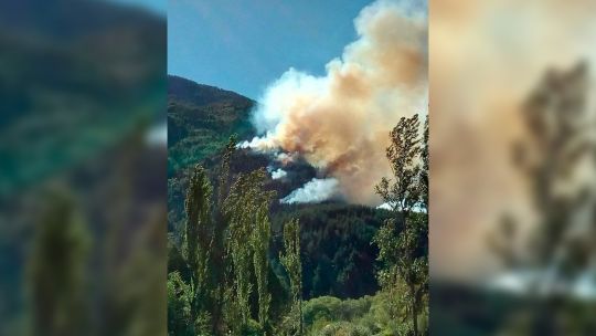 Combaten un incendio forestal cerca de Lago Puelo