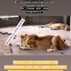 famosos_zoo_santiago del estero