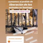 famosos_zoo_santiago del estero