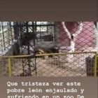 famosos_zoo_santiago del estero