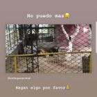 famosos_zoo_santiago del estero