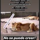 famosos_zoo_santiago del estero
