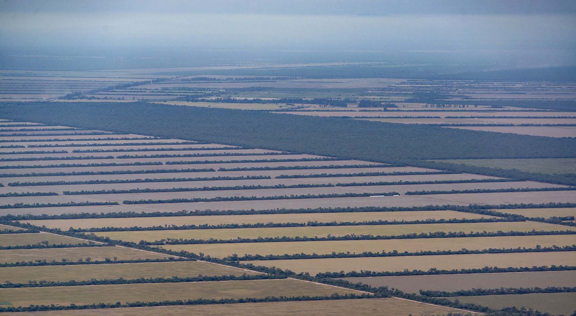 Deforestacion en el chaco