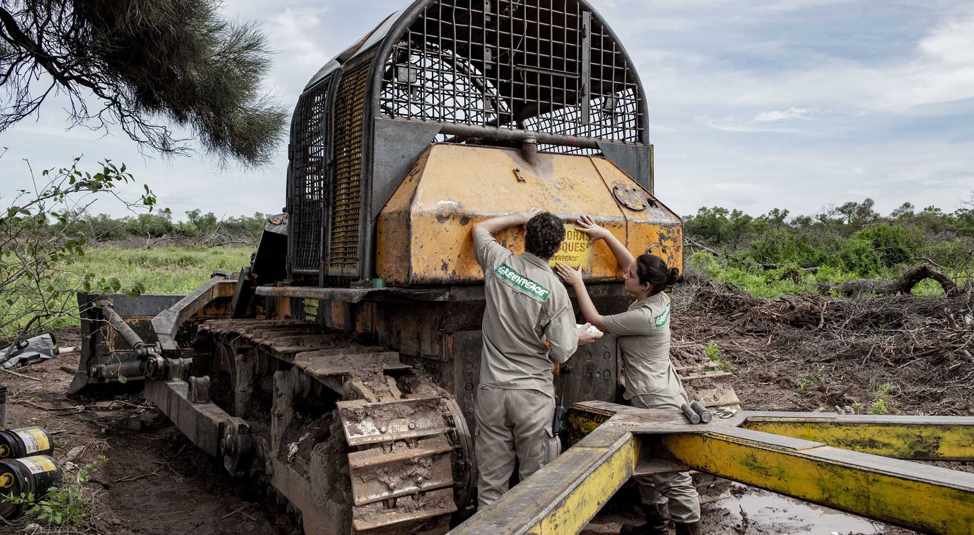 Deforestacion en el chaco