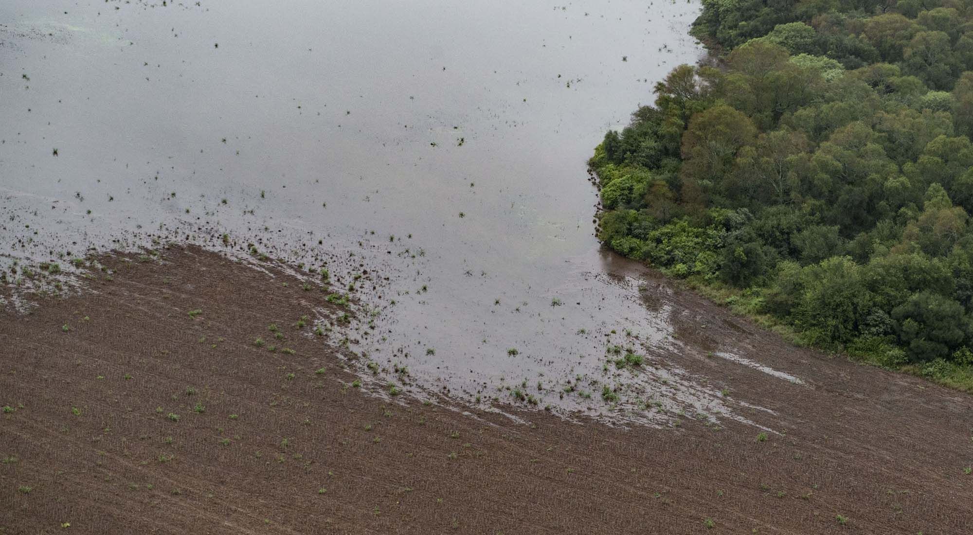 Deforestacion en el chaco