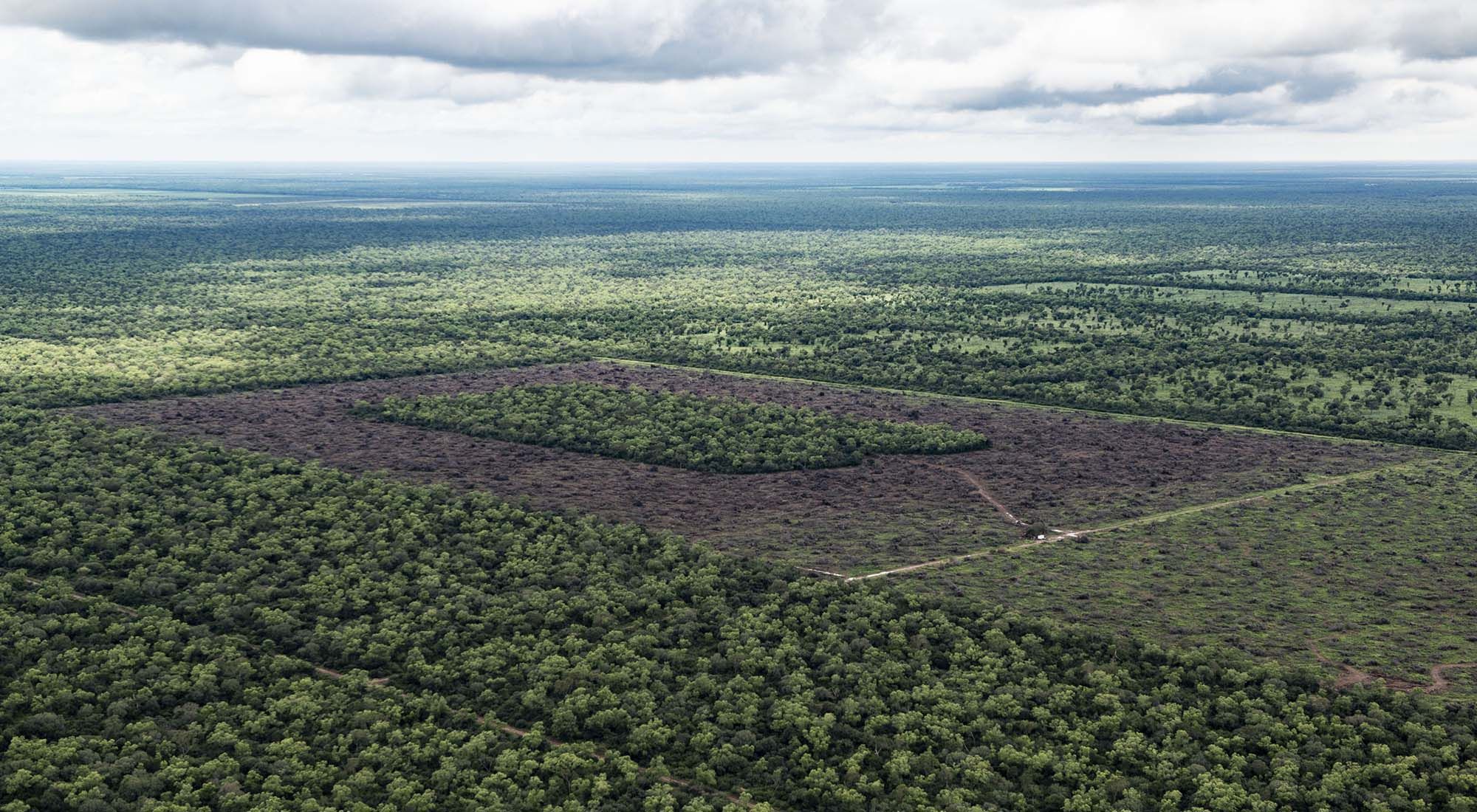 Deforestacion en el chaco