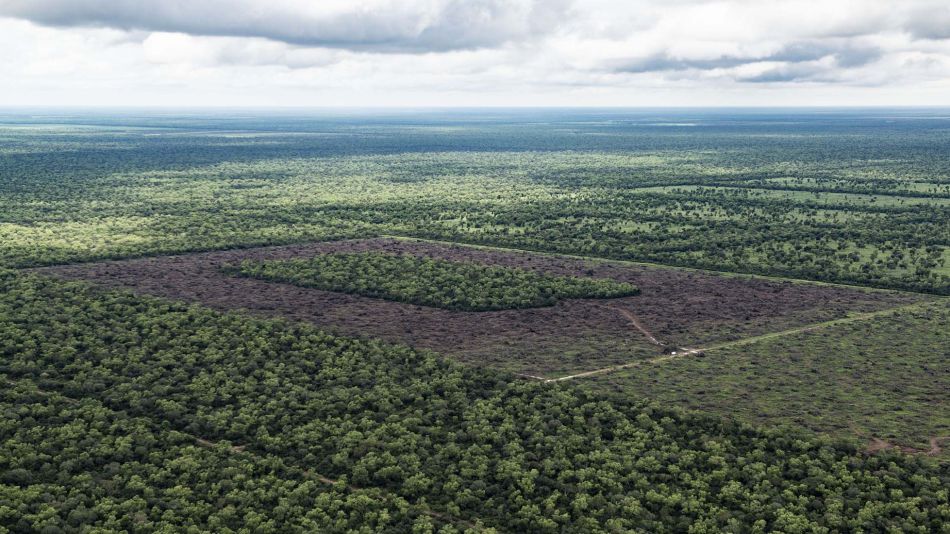 deforestacion chaco 30012019