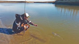 Pescar con spinning en el Sur es posible y se lo disfruta. Jurassic Lake, sobre el lago Strobel, Santa Cruz, es meca para los que buscan grandes trofeos de arco iris.