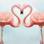 Sexualidad: fidelidad, en el adn