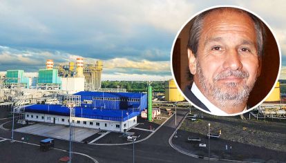 Figura. En la compañía dicen que no participa en la gestión. A la derecha, las usinas que privatizará el Gobierno en febrero.