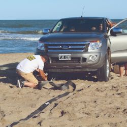 Un día de playa puede arruinarse por una situación evitable. Hay que estar preparado con los elementos básicos e información necesaria para un rescate.
