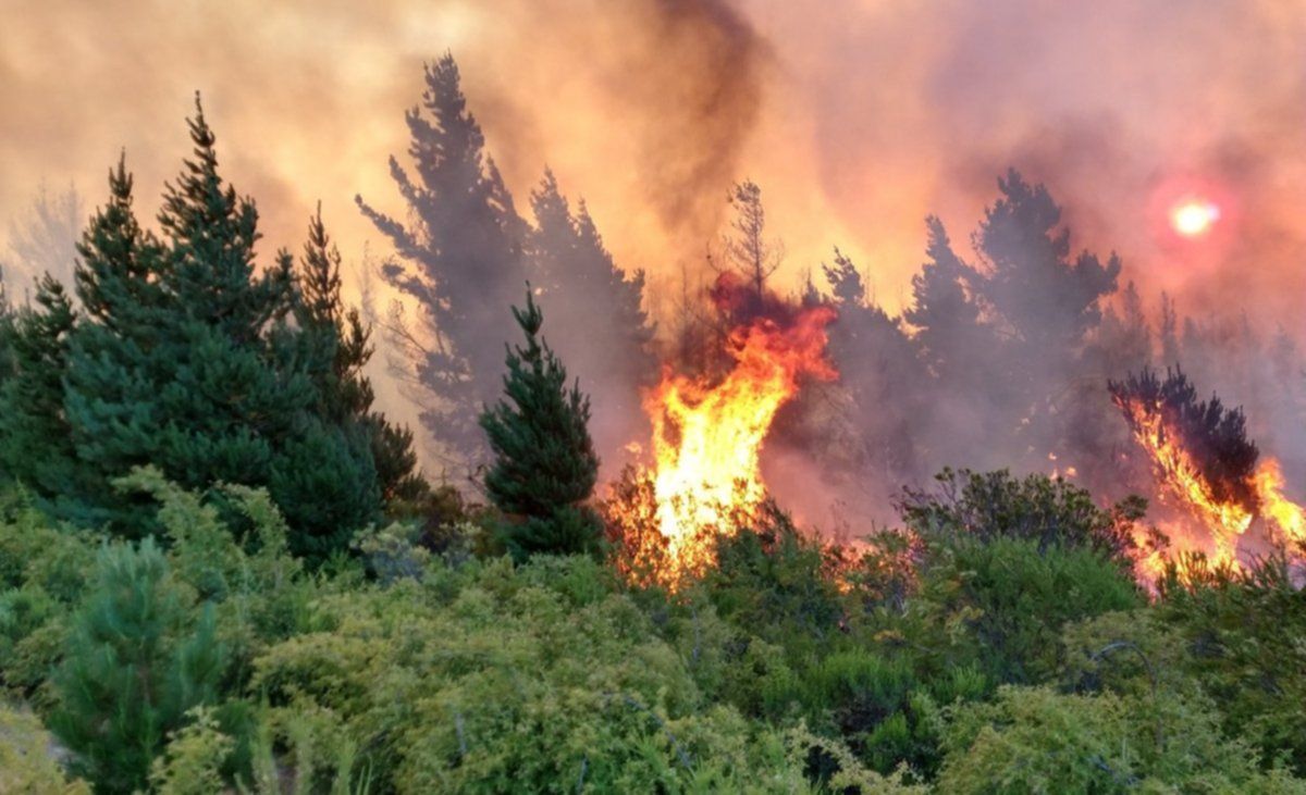 No logran controlar el incendio.