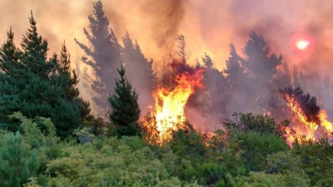 Chubut's forests threatened by wildfires.