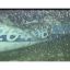 Emilano Sala exposed to harmful carbon monoxide in plane crash