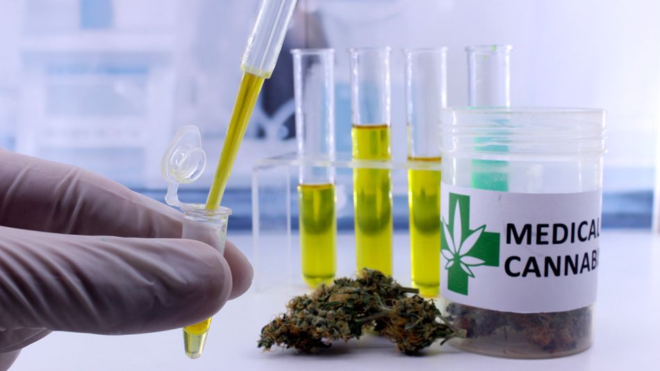 canabis-medicinal-02042019-638847