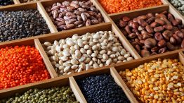 RECETAS. Las legumbres como el garbanzo pueden integrar una gran variedad de platos aportando el beneficio de incorporar proteínas.