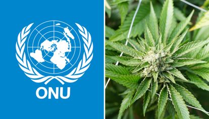 ONU