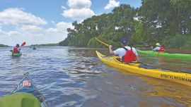 En kayak por el Parque Nacional Ciervo de los Pantanos