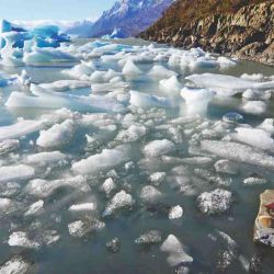 El lago Grey se llena de témpanos como traslúcidos galeones a la deriva.