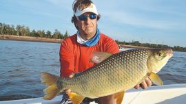 Relevamos el Río de la Plata, el Uruguay y el Paraná en busca de esta presa siempre difícil. Claves, carnadas, guías y detalle de los points más rendidores para capturarla.