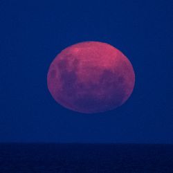 The "Supermoon" rises over the Río de la Plata as seen from Buenos Aires on February 19, 2019. 