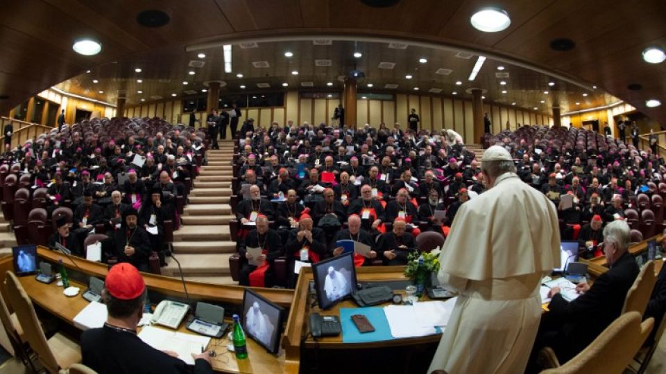 papa francisco cumbre pederastia