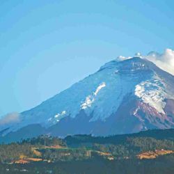 En el horizonte y cubierto de nieve, el volcán Cotopaxi.