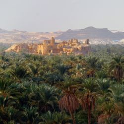 A 50 km de El Cairo, cerca de la frontera con Libia, está la morada de los bereberes, entre ruinas y una vegetación espectacular.