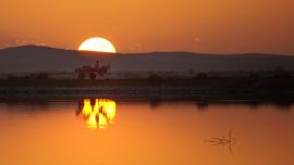 A 50 km de El Cairo, cerca de la frontera con Libia, está la morada de los bereberes, entre ruinas y una vegetación espectacular.