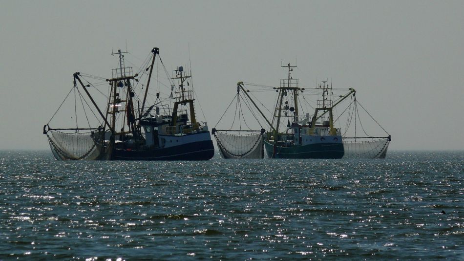 pesca industria naval 