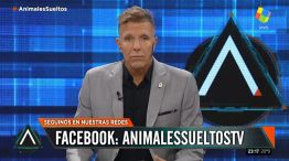 Fantino en "Animales sueltos