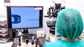 20190301_1390_ciencia_CP41 Agencia Shutterstock