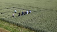 The Other Monsanto Chemical That Bayer Investors Should Watch