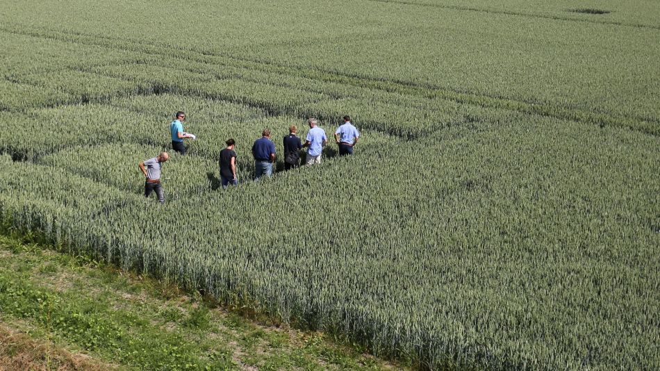 The Other Monsanto Chemical That Bayer Investors Should Watch