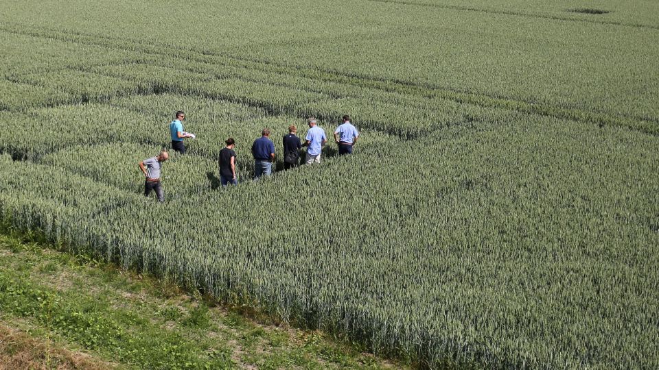 The Other Monsanto Chemical That Bayer Investors Should Watch