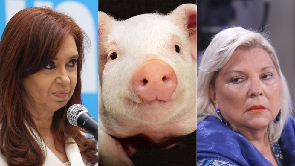 Cristina Kirchner chancho Lilita Carrio g_20190313
